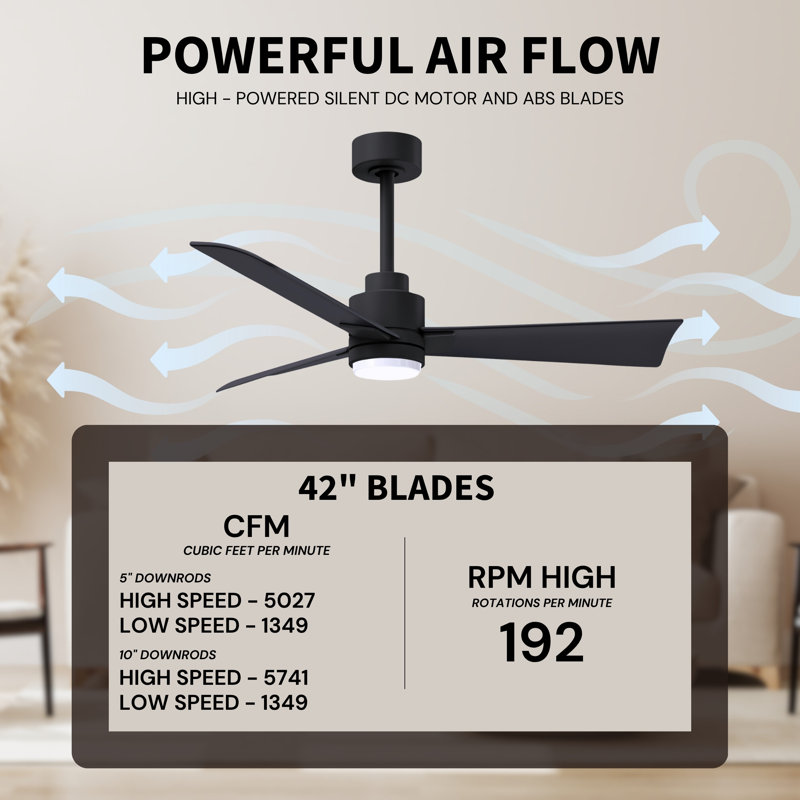 Alessandra - Three Blade Transitional Ceiling Fan -LED, Matte Black, 42", Matte Black