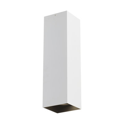 Exo 1 - Light LED Flush Mount