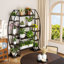 Plant Stand with Grow Lights 
