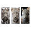 Ensemble de 3 reproductions en métal Leopard-2024431190