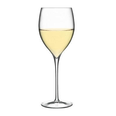 Magnifico Wine Glasses (Set of 4)