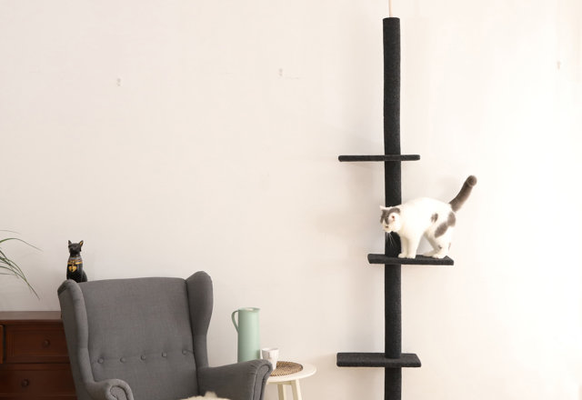 Our Best Cat Tree Deals