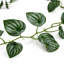 Watermelonx6 160cm Plant