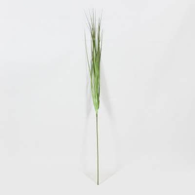 Filtre à vase herbe Yarrington