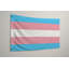 Drapeau de la fierté transgenre — Drapeau