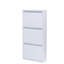 6 Pair Shoe Storage Cabinet