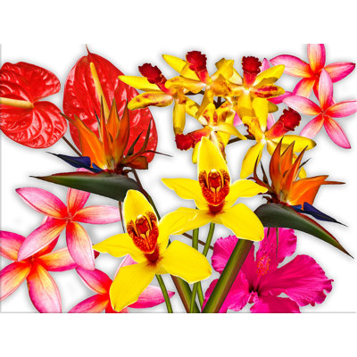 Flower Pop Graphic Art Canvas