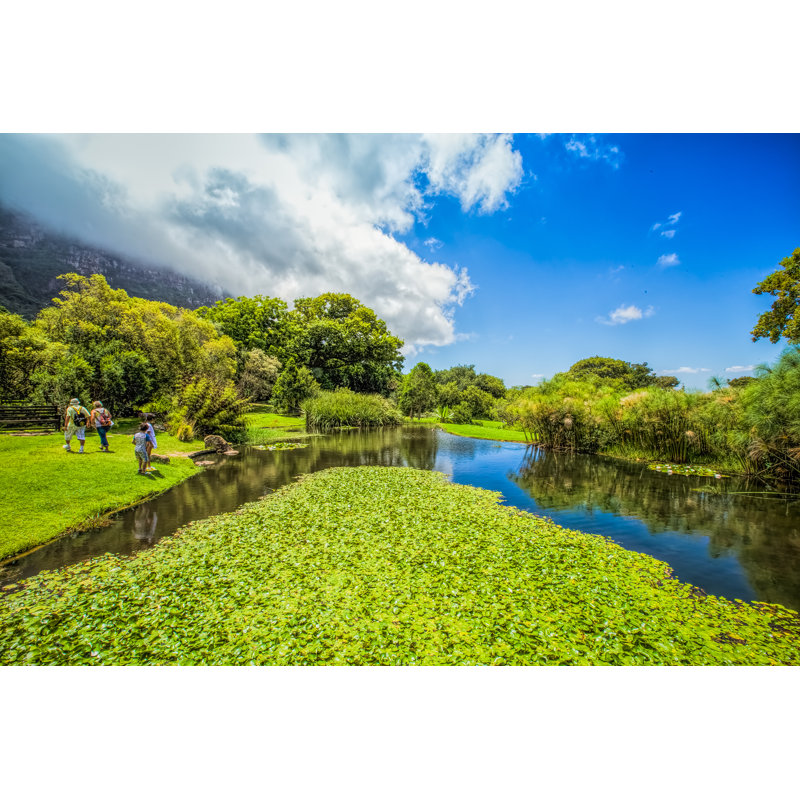 Kirstenbosch Gardens - Wrapped Canvas Print, 30cm H x 46cm W x 3.8cm D