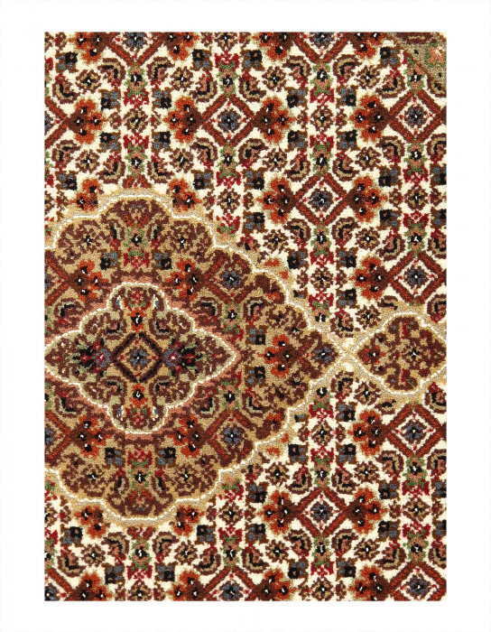 Jakiylah Hand Knotted Wool Area Rug