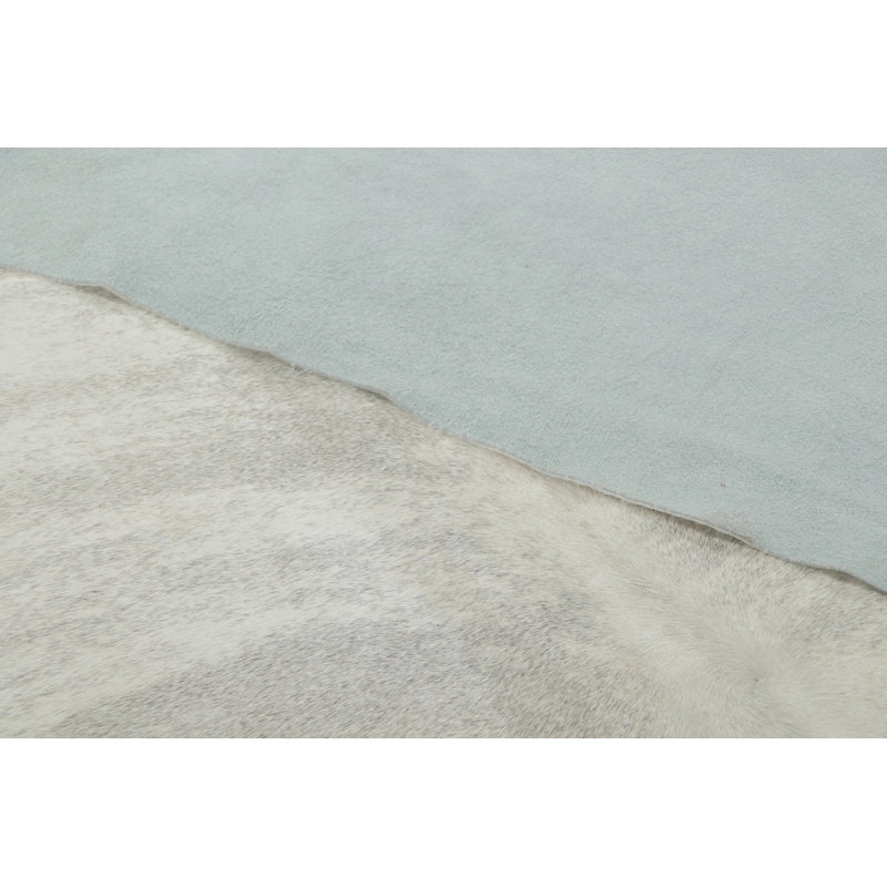 Modern Area Rug