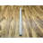 6'x6' Misty Gray, Oxidized and Distressed Grass Design with Exposed Warps, Hand Knotted, Organic Wool, Round, Oriental Rug
