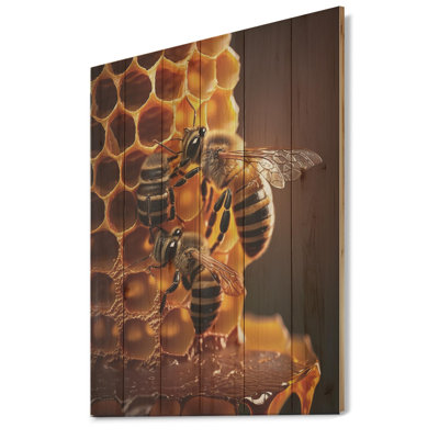 " Honey Bees In Nest "