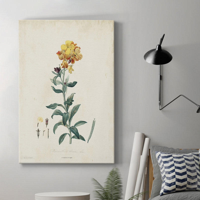 «Traditional Botanical III», impression sur toile tendue, H 12 po x l 8 po x P 1 po