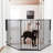 Metal Wall Mounted Pet Gate-143446520