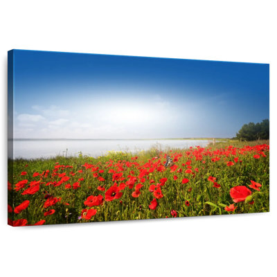 Alvord Lakeside Poppy Field