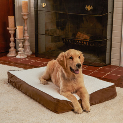Lindholm Orthopedic Pillow Dog Bed