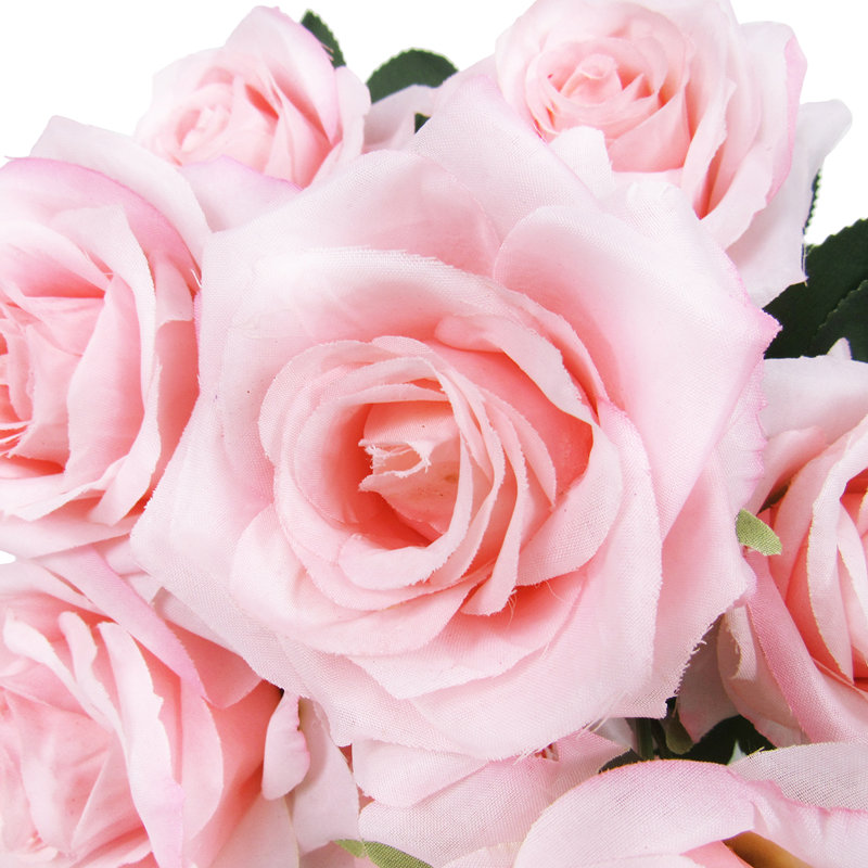 Grand rosier, Rosé
