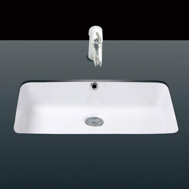 Under Ceramic 21.7'' L Bathroom Sink