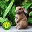 Lapin Decor