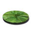 Handmade Decorative Plate-419391530-419391539