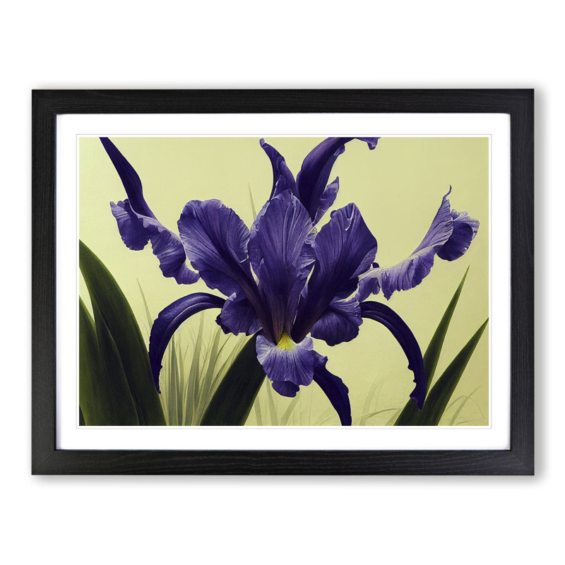 Cute Iris Flowers - Framed Print, Black, 46cm H x 64cm W x 2cm D