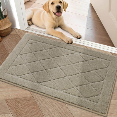 Non-Slip Indoor Doormat