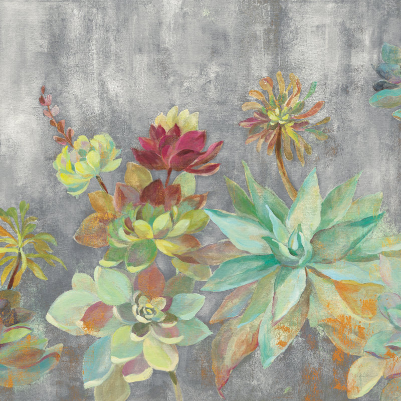 Succulent Garden Crop by Silvia Vassileva - Wrapped Canvas Painting, 91cm H x 91cm W x 3.8cm D