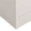 Harshbarger 2 Door Steel Wardrobe-1833383630