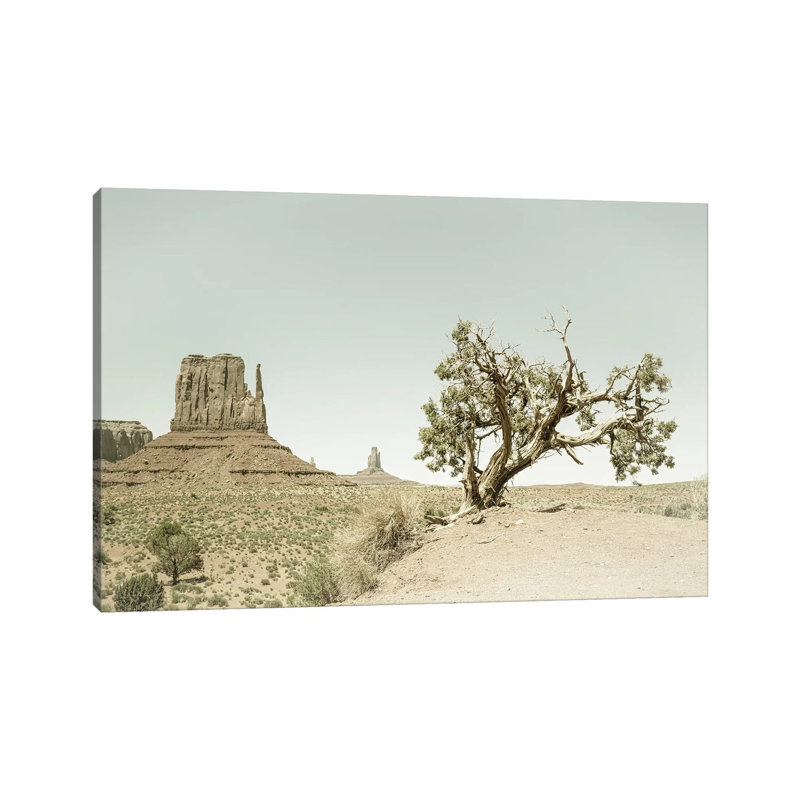 Monument Valley West Mitten Butte And Tree by Melanie Viola - Wrapped Canvas Print, 20.32 cm H x 30.48 cm W