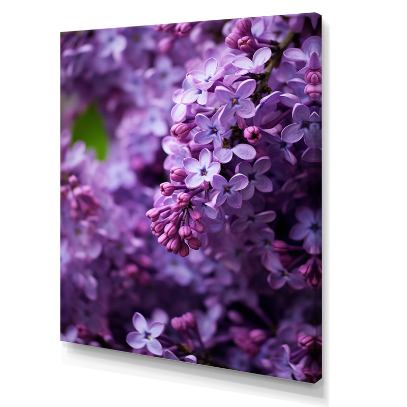 «Lilacs mauves», impression sur toile, Toile tendue, H 32 po x l 24 po x P 1 po