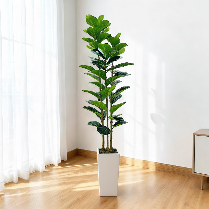 180cm Plant