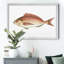 «Small Small Antique Fish III», reproduction d'art graphique sur toile encadrée-1550136876-1550136877