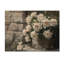 Pivoines près du puits de ferme II - Décoration murale en bois de pivoines - sur bois de pin naturel-1049841911