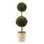 Preserved Boxwood Double Ball Topiary in Pot-465220151