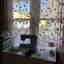 Photos des clients 1 de 1