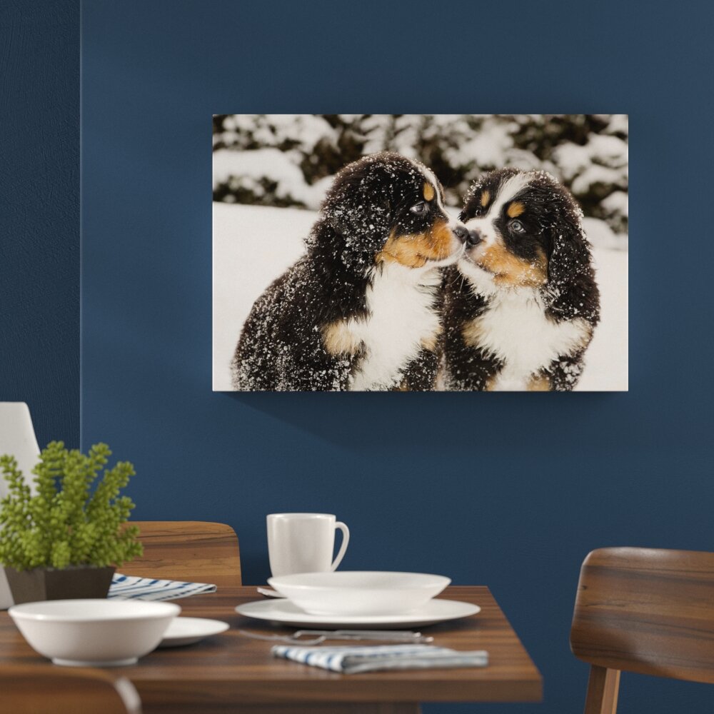 Leinwandbild â€žBernersennen Hunde Welpen im Schnee", Fotodruck