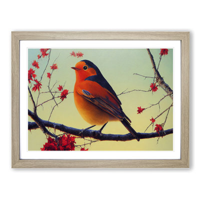 Thrilling Robin Bird - Single Picture Frame Print