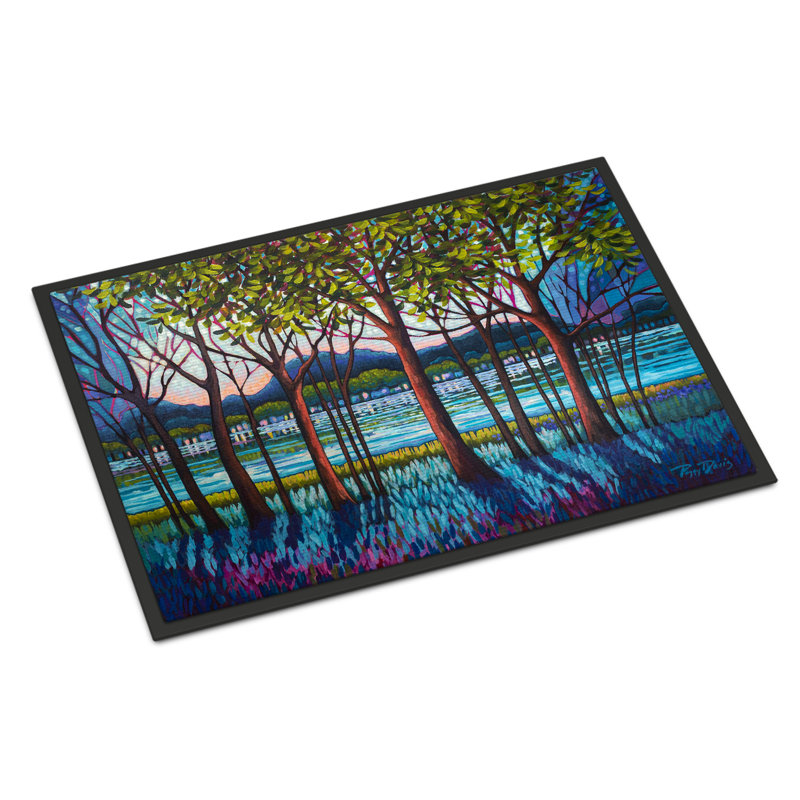 Tapis d'entrée antidérapant Mcknight L 27 po x l 18 po, Rivière tanzanite