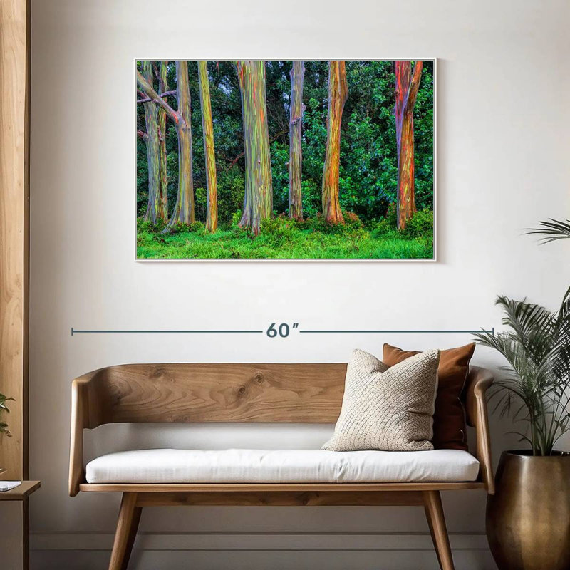 Eucalyptus arc-en-ciel, Cadre flottant blanc, 43 po x 29 po