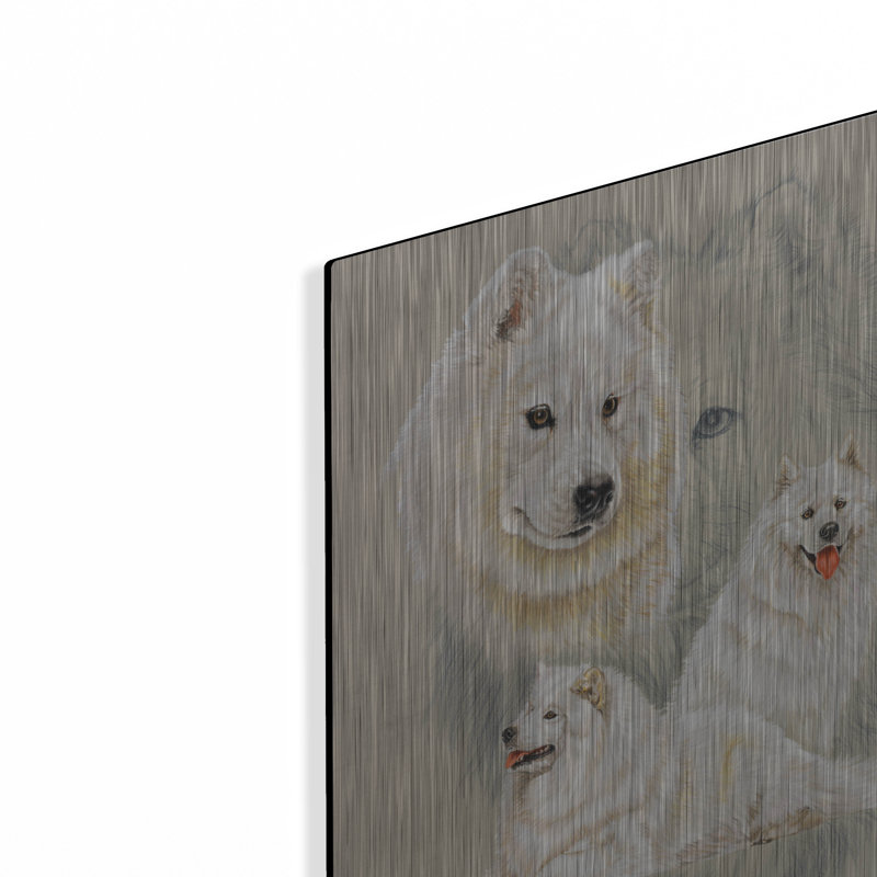 " Samoyed " by Barbara Keith, 16" H x 12" W