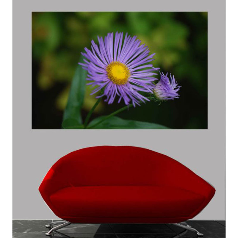 Plants & Flowers Non-Wall Damaging Wall Decal, 16" H x 24" W