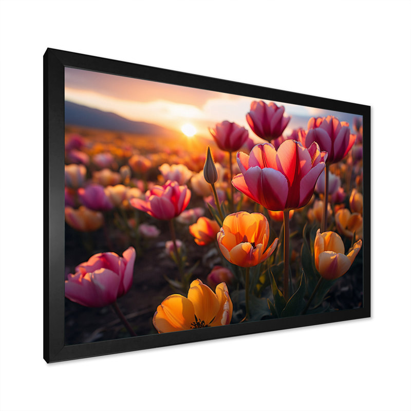 Tulipes «Fields of Color V», reproduction sur toile, Cadre simple noir, H 30 po x l 40 po x P 1,5 po