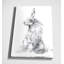 «Garden Hare II» par Carol Robinson, reproduction d'art graphique sur toile-20526519