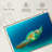 Brampt Philippine Green Sea Turtle-108816635