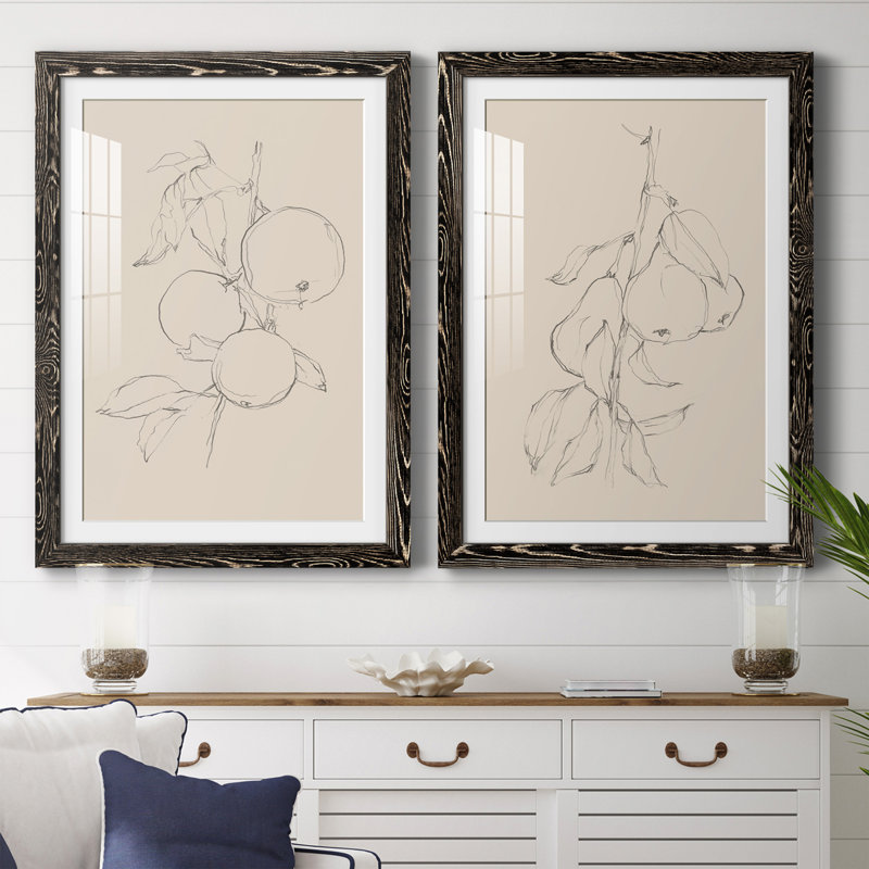 Fruit Contour Study I Premium encadré mat - prêt à être suspendu, Noir, H 37,5 po x l 55 po x P 1,5 po