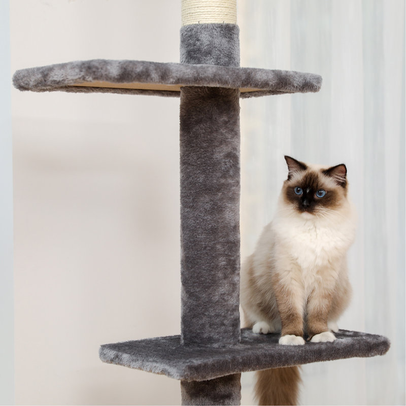 Tour pour chat interactive à 5 niveaux