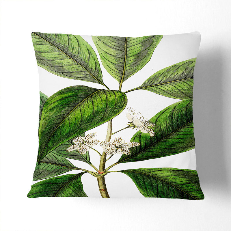Square Throw Cushion, Black, 40cm H x 40cm W x 15cm D