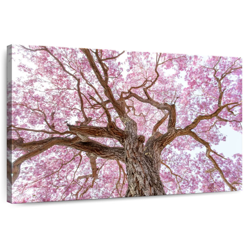 Harnek Sakura Cherry Tree, 24" H x 36" W