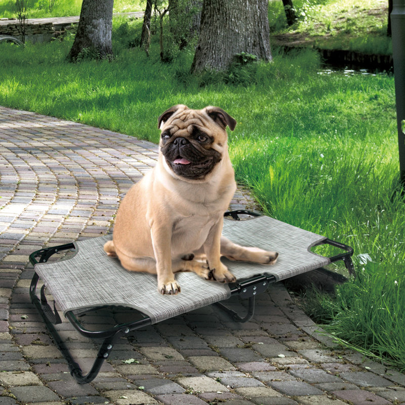 Lit surélevé pour chien, H 7,1 po x l 35,4 po x P 24 po
