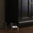 Luxury Style Black Storage Shoe Cabinet